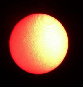 David's H-Alpha shot of the Sun and its prominences.